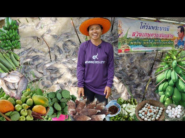 สุดยอดเกษตรผสมผสานเมืองอุบลฯ!!เลี้ยงวัวนาบัวมีกุ้งหอยปูปลาเป็ดไก่กบครบวงจร