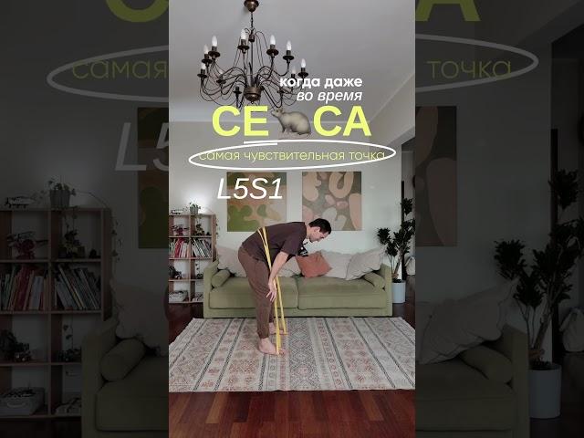 Если твоя самая чувствительная точка на теле  L5S1