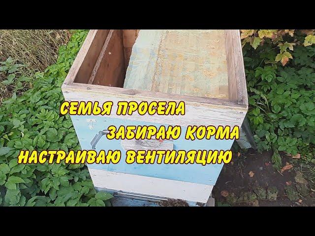 семья просела забираю корма настраиваю вентиляцию