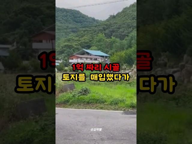 1억 땅을 구매했는데 찾아온 이장의 충격적인 정체 #사연