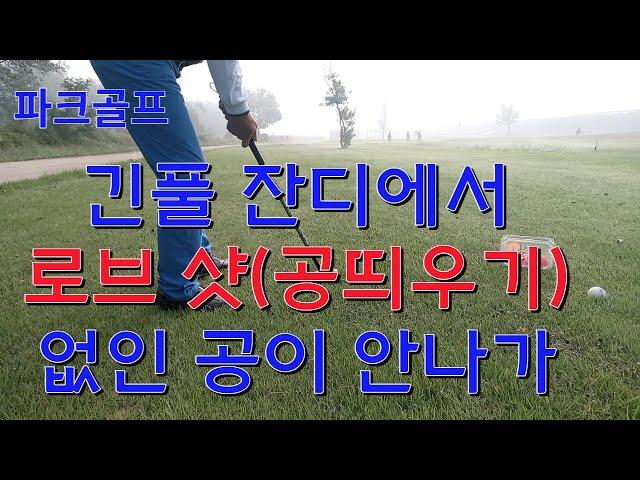 파크골프(park golf) 페어웨이 잔디에서 로브 샷 하는 요령 공띄우기 방법.パークゴルフ