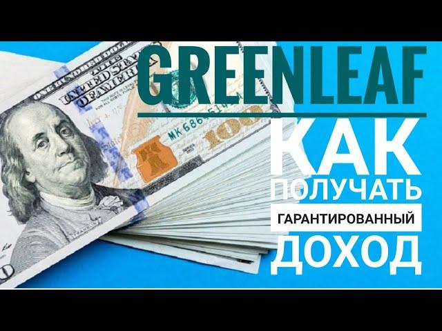 Как получать доход в Гринлиф! Маркетинг компании Greenleaf.