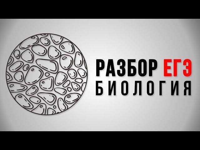 Подготовка к ЕГЭ по биологии 2018, 11 класс