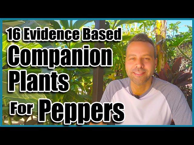 Companion Planting // 16 Companion Plants for Peppers!