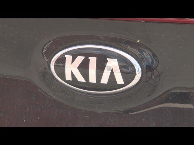 Senator Schumer Kia, Hyundai call to action