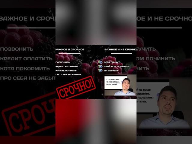 Как Правильно Систематизировать Свою Жизнь #ранееобучение #интеллект #бизнес #мозг