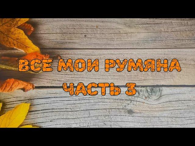  Все мои румяна. Часть 3