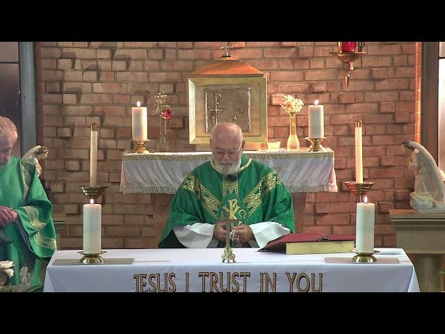 St. Francis of Assisi -  9:30am Twemty-Sixth Sunday In Ordinary Time