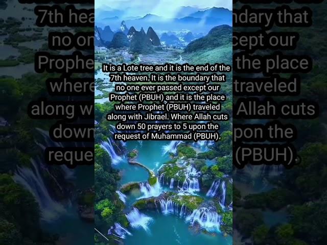 Sidrat Al-Muntaha