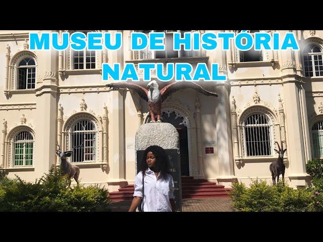 MUSEU DE HISTÓRIA NATURAL EM MAPUTO | YouTuber moçambicana