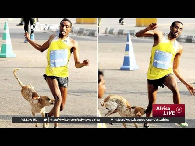 Ethiopian athlete Mulle Wasihun attacked by stray dog in India