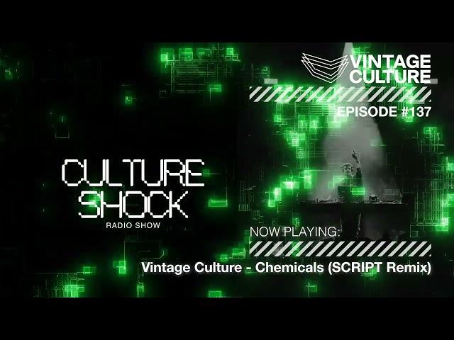 Vintage Culture - Culture Shock #137