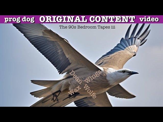 The 90s Bedroom Tapes III "Wax Wings" - Dean Wolfe [Lo-Fi Art Pop Rock]