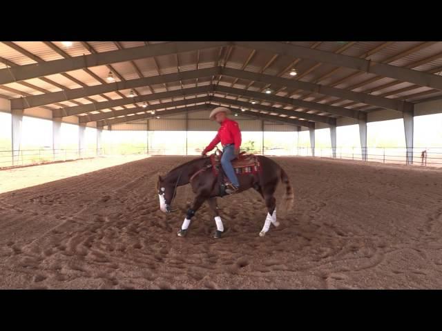 Matt Mills Reining ' How to Teach Your Horse How to Spin Step 1 '