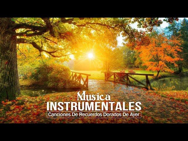 Canciones de recuerdos dorados de ayer - Música Instrumental De Los 70 80 - Melodías Del Recuerdo