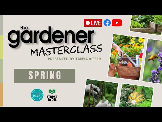 Spring Masterclass | LIVE with Tanya Visser