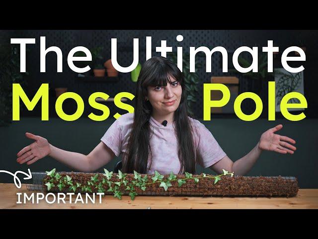 How to build better moss poles for your plants