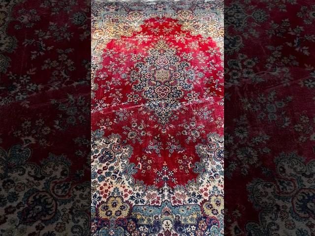 We're squeezing the carpet #asmr #oddlysatisfying #rugcleaning #carpetcleaning #washingtoys #carpet