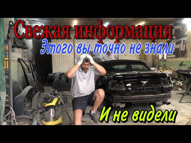 Твердость лака ДЛЯ авто| MS мягкий HS твердый ?