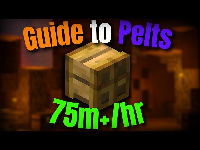 This is How PELTS Make 75m+/Hr - The ULTIMATE Pelt Guide | Hypixel Skyblock