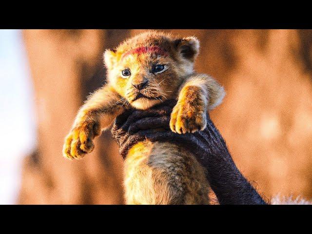 심바 탄생 장면 | 라이온 킹 (The Lion King, 2019) [4K]