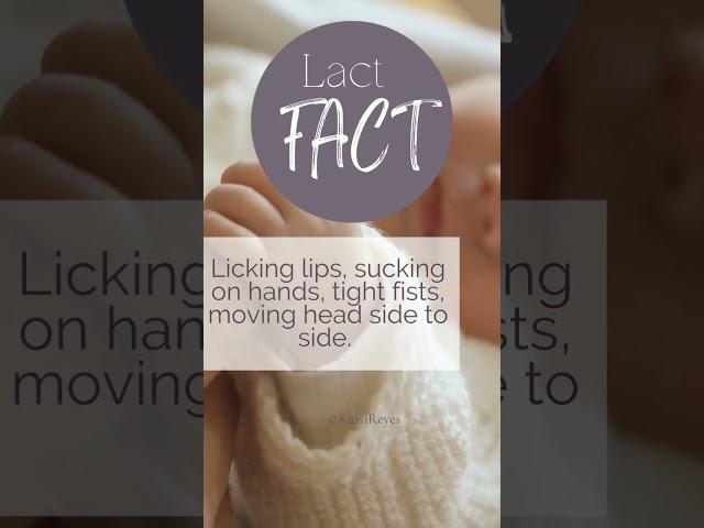 How does your baby tell you “I’m hungry”? Comment #baby #breastfeeding #lactation #shorts