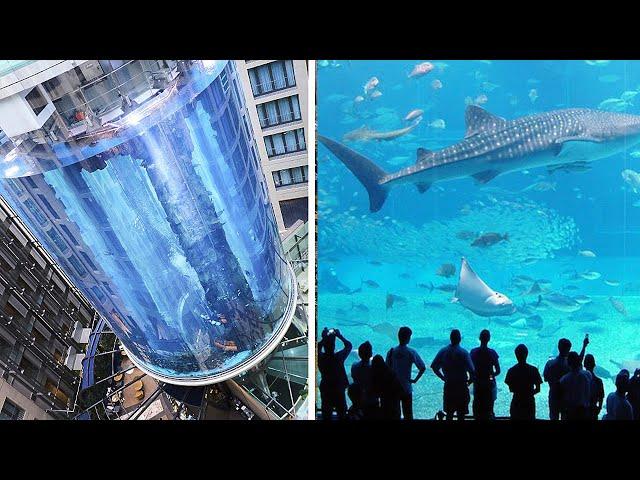 15 Largest Aquariums in the World