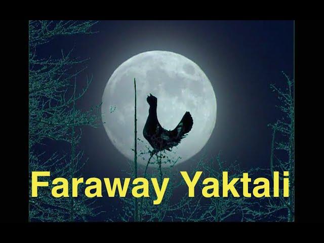 Faraway Yaktali. Siberia