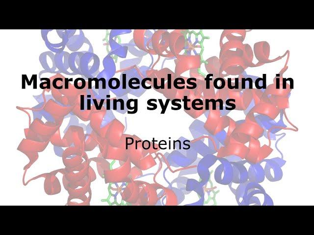 Macromolecules: Proteins