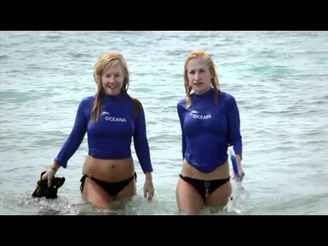 Angela Kinsey and Rachael Harris: Save the Sea Turtles | Oceana