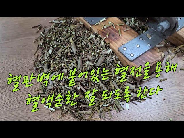 고혈압,당뇨, 혈관벽에 붙어있는 혈전(피떡)을 녹혀 순환 잘 되도록 한다