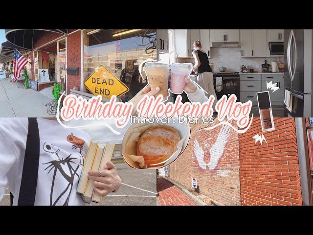 Birthday Weekend | Antique shoppen | Alltag | Haul incl neue Books  INTROVERT DIARIES VLOG