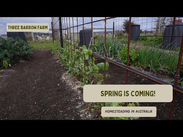 Garden Update at Three Barrow Farm, Spring is Coming!