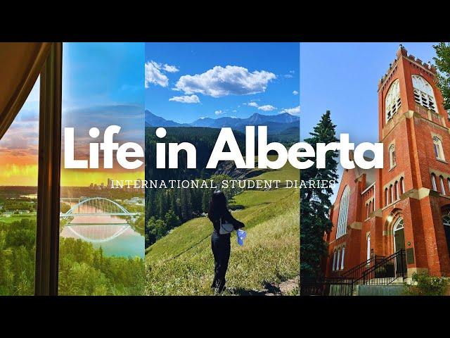 Life in Alberta | International Student Diaries ~ summer days, road trips, festivals | Canada Vlog