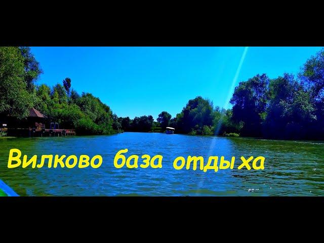 Одесса Вилково база отдыха Пеликан сити