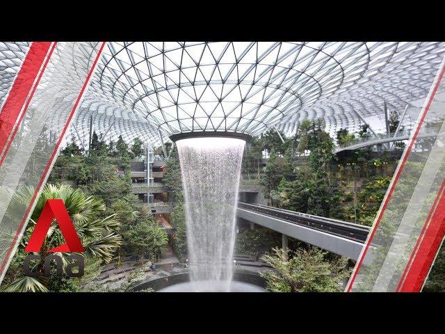 Jewel Changi Airport: World's largest indoor waterfall Rain Vortex