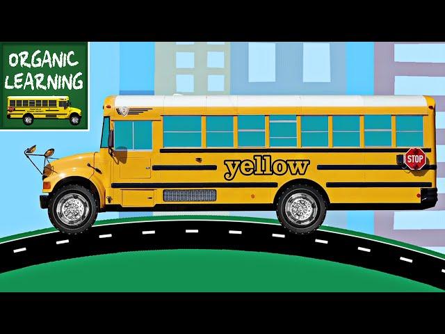 School Buses Teaching Colors - Learning Colours Video for Kids