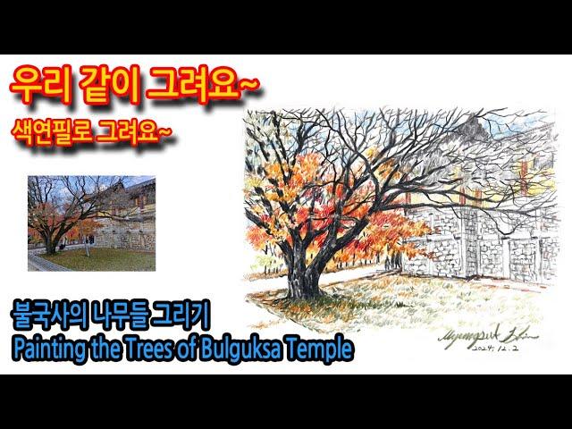 454회) 불국사의 나무들 그리기Painting the Trees of Bulguksa Temple#drawing #여행드로잉 #그림독학 #티노씨실시간 #색연필화