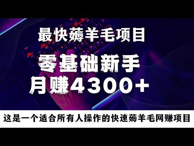 新手网上赚钱！这是一个薅羊毛项目，新手也可以月赚43000+，这是当前赚钱最快方法，零基础新手也可以操作的网赚项目！