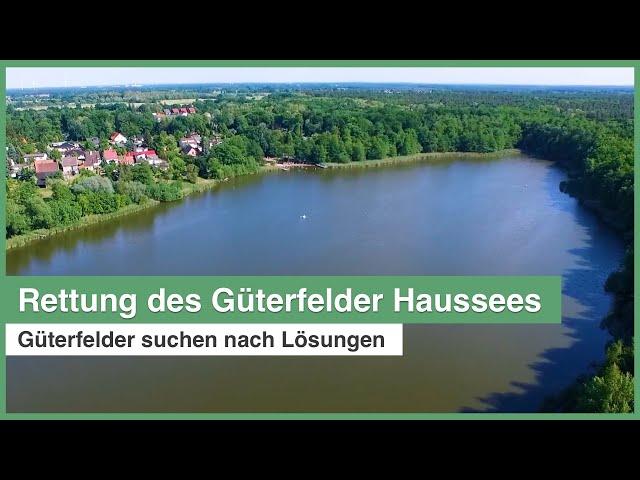 Rettung des Güterfelder Haussees | neue Diskussionsreihe gestartet