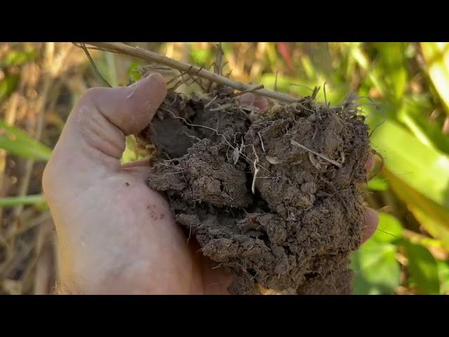 Feeding the Biology that Feeds Your Farm, with Understanding Ag's Luke Jones