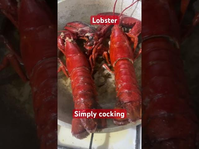 Lobster  #food  #foodie  #yummy  #cooking #subscribe  #subscribers