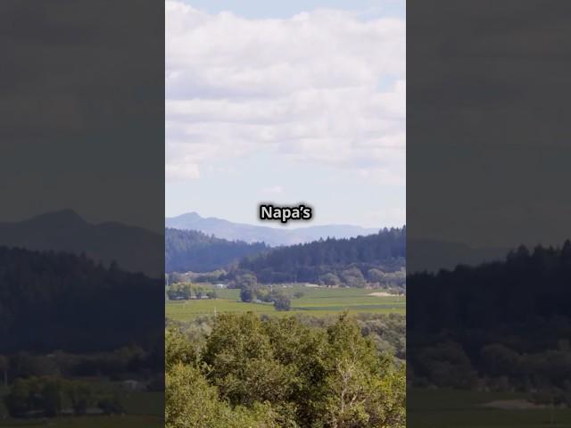 Napa Valley, California Real Estate: Boom or Bust? #naparealestateagents  #marketinsights
