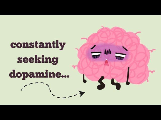 Life of a brain constantly seeking dopamine