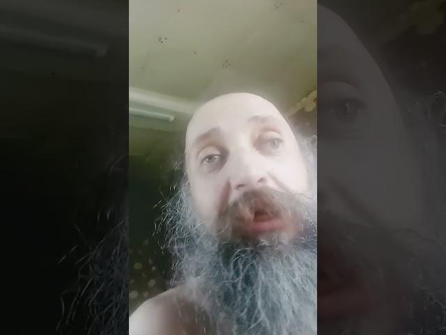 собака ставит лапы встречая