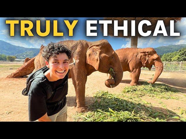 we visited a TRULY ETHICAL Elephant Sanctuary | Elephant Nature Park Chiang Mai Thailand