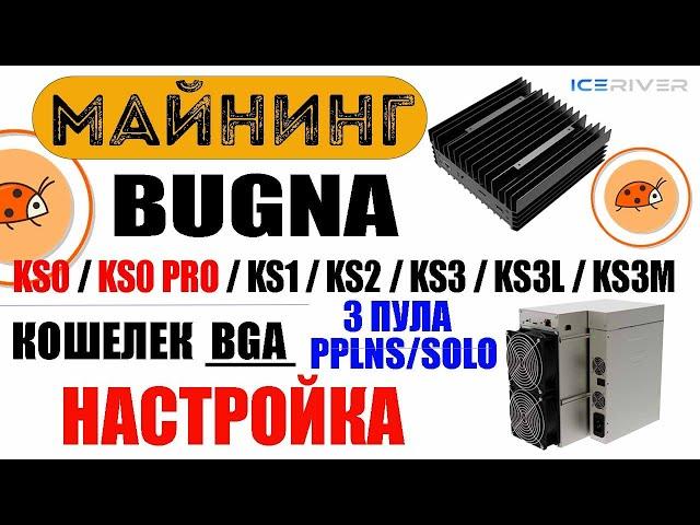 Майнинг Bugna (BGA) на KS0, KS0 PRO, KS1, KS2, KS3, KS3L, KS3M / 3 Пула / Настройка