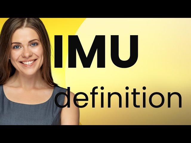 Imu | what is IMU definition