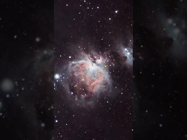 I took a picture of the Orion Nebula!