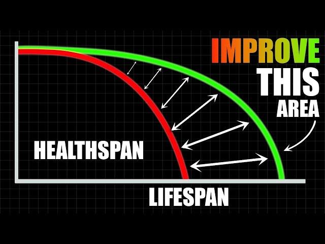 A Scientific Guide To Increasing Longevity